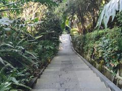 -腾冲洞山温泉村