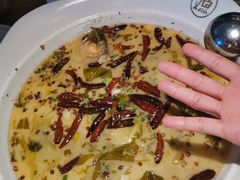 老坛酸菜鱼-江渔儿酸菜鱼专门店(明珠广场店)