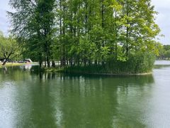 -上海共青森林公园