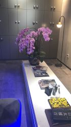 -SEBASTIAN塞巴斯汀