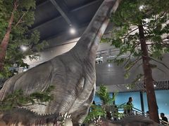 -湖南省地质博物馆