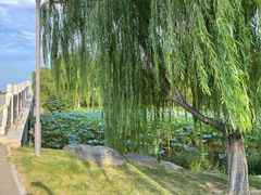 -西安浐灞国家湿地公园