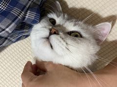 -浆木咖啡馆(湘子庙街店)
