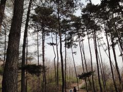 -萨尔浒风景区