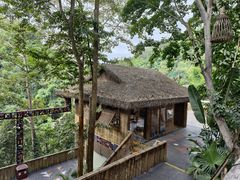 -西双版纳原始森林公园