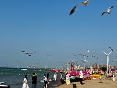 -那香海钻石沙滩浴场