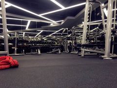 -金吉鸟健身游泳