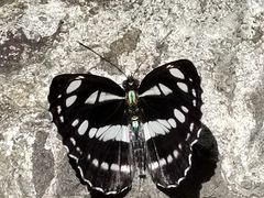 -云岫谷游猎自然风景区