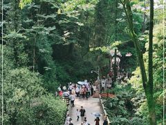 -青城山