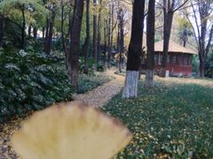 android_upload_pic-常州天宁禅寺