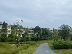 -两河城市森林公园