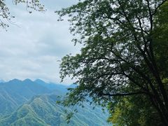 -陕西省红河谷森林公园