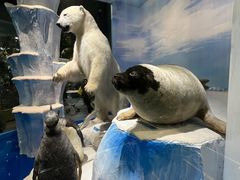 -国家自然博物馆