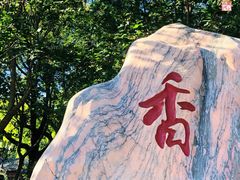-香山公园