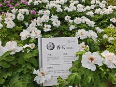 -太阳宫公园