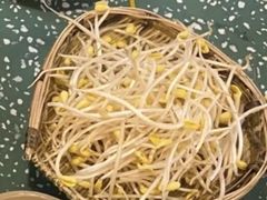 井水豆芽-雾都嘟重庆老火锅