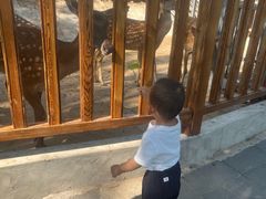 -北京鹿世界主题园