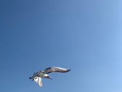 -滇池海埂公园