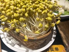 -周师兄大刀腰片火锅(洪崖洞旗舰店)