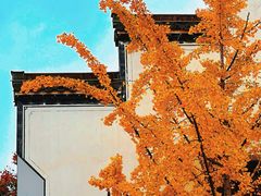 -老门东历史文化街区