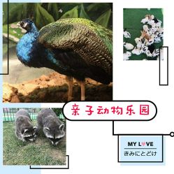 -萌宠亲子动物乐园(槐房万达店)