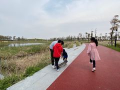 -春花秋色城市公园