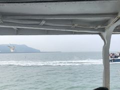 -大鹿岛