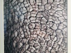 -胶囊画廊