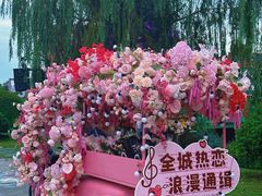-荷兰花海