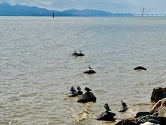 -深圳湾公园(南山区)