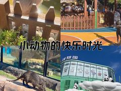 -大连森林动物园