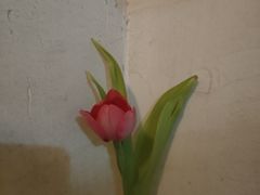-蓉小乔·RONG COFFEE(春熙路店)