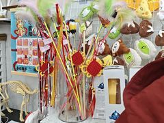 -半岛宠物医院24小时·内窥镜·牙科·碎石中心(府城大道店)