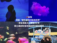 -泉城欧乐堡海洋极地世界