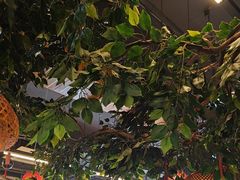 -成老灶火锅鸡(平山店)