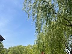 -西安世博园