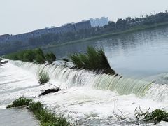 -绿堤公园