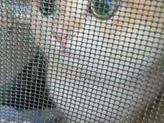 -纳吉亚猫专科动物医院·北北分院