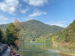 -广州市石门国家森林公园