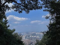 -惠山国家森林公园