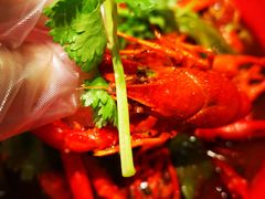 -红辣椒·川菜·火锅(张杨路店)