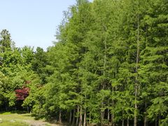 -长广溪湿地公园