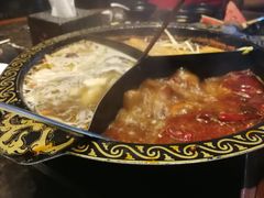 -苏州金科大酒店