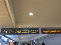 -上海浦东国际机场-T2航站楼