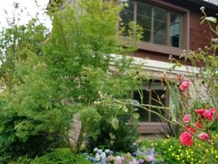 -云漫湖生态度假公园