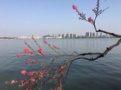 -无锡梅园公园