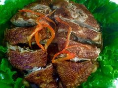 -天羽烤乳鸽店(财大家属院店)