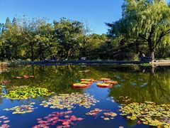 -国家植物园南园