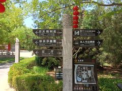 -大槐树寻根祭祖园