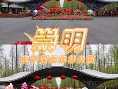 -东平国家森林公园